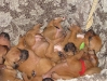 img_1472-on-our-backs-like-mom_0