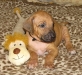 img_1838-black-boy