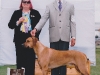 2010 Cook Inlet Kennel Club, Palmer, Alaska, BOB