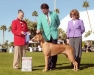 2009 Inland Empire Hound Club BOW