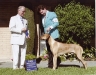 2007 Del Valle First Place Bred By Class