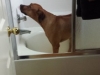Kuyu in the shower