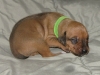 img_1520-green-boy