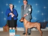 11 Kuyu New Champion Canada 12-13-13 small