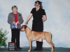 14 Kuyu BOW New Champion xs 2 Puyallup 1-13-14 small
