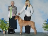 best-puppy-in-sweeps-1-14-13