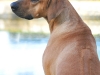 kanzu-back-ridge-jan-2012
