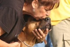 Rally/Obedience