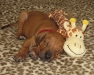 img_1857-red-boy-sleeping-with-giraffe