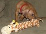 Puppies Week 6